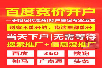 百度SEM推广策略：成功案例解析