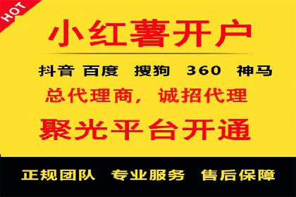 竞价托管实战案例：优化广告投放策略